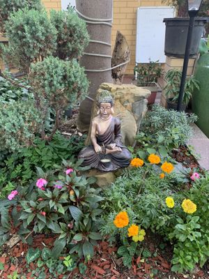 Flowers at Karuna Vegie House  in Lyneham