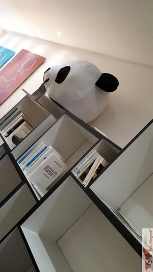 New deco, library at Eat Like Panda in Paris