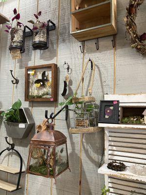 Plants! 🪴  at Zalie Cakes in Hollywood