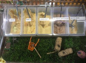 Hummus sampling station at Garden Diva Hummus in Hollywood