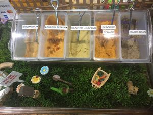 Hummus sampling station at Garden Diva Hummus in Hollywood