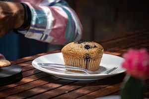 Vegan blueberry muffin (the chocolate one our favorite) at Human Bean in Canggu