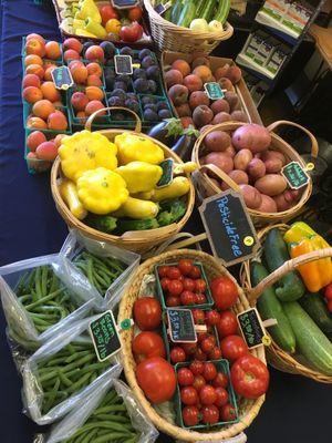 Tuesday is our Farm Stand Day!  at Health Habit in Valley Springs
