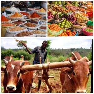 ♥️😋🎈 at Injera in Herzliya