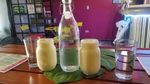 Best vegan food ever! at Toucanoos in Coco