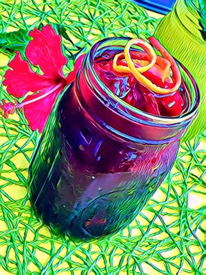Freshly Cold Brewed Hibiscus Cooler at Toucanoos in Coco