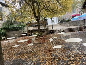 Imagine seated under trees in Summer. at Cosmic Kitchen in Plymouth