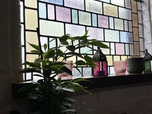 The ambiance   at Cosmic Kitchen in Plymouth