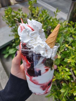  at Pelacani Zero in Porto San Giorgio