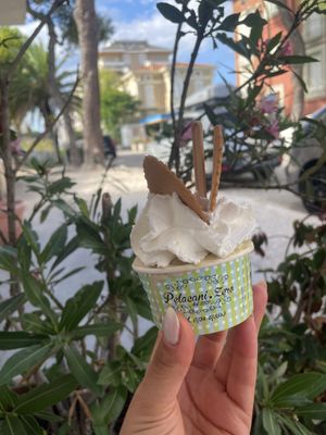 Coppetta due gusti con panna vegetale, pistacchio e nocciola.  at Pelacani Zero in Porto San Giorgio