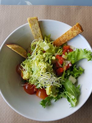 Ensalada at Mandrágora  in Getxo