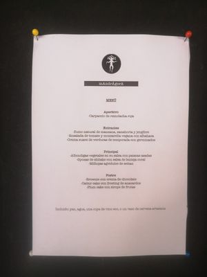 Daily menu at Mandrágora  in Getxo