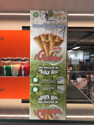 Cono vegano at Gelato Pazzo in Aosta