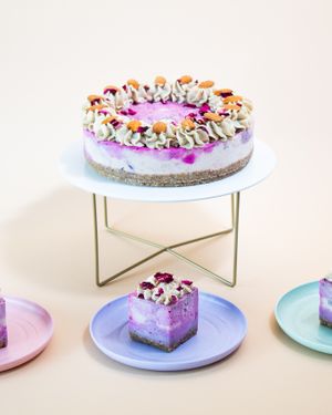  at Empowered Plant Cakes in Virginia Beach