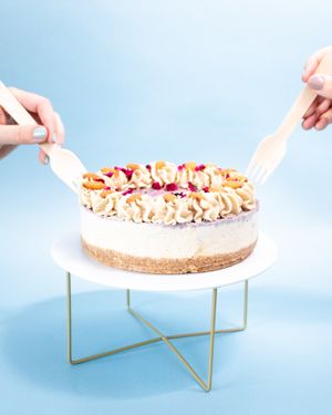  at Empowered Plant Cakes in Virginia Beach