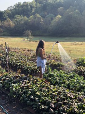 Olga watering her organic vegetable garden at Olga Gallery Cafe & Bistro in Coudersport