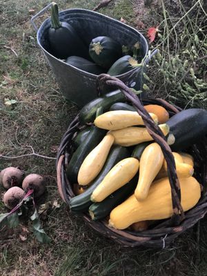 Some of the harvest at Olga Farm at Olga Gallery Cafe & Bistro in Coudersport