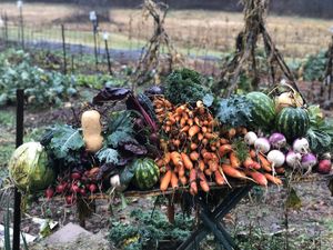 Just a little of Olga’s Autumn harvest! at Olga Gallery Cafe & Bistro in Coudersport