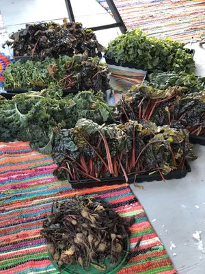 Part of Olga’s Harvest at Olga Gallery Cafe & Bistro in Coudersport