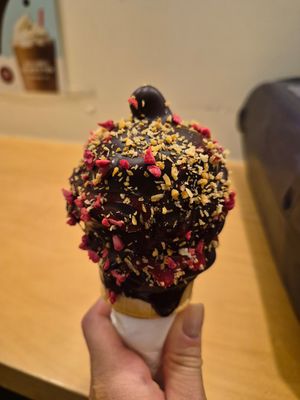 Raspberry icecream, dark chocolate, mini size at Chocolats Favoris in Montreal