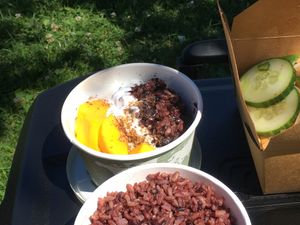 Mango sticky rice at Mugi in Toronto