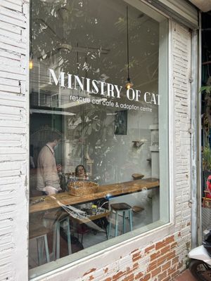   at Ministry of Cat in Phnom Penh