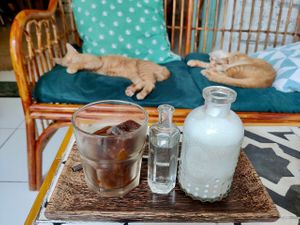 Iced Latte at Ministry of Cat in Phnom Penh