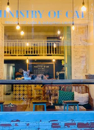  at Ministry of Cat in Phnom Penh