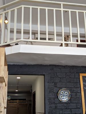  at Ministry of Cat in Phnom Penh