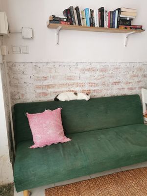  at Ministry of Cat in Phnom Penh