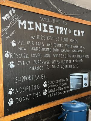   at Ministry of Cat in Phnom Penh