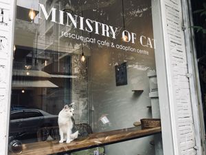 The guardian! at Ministry of Cat in Phnom Penh