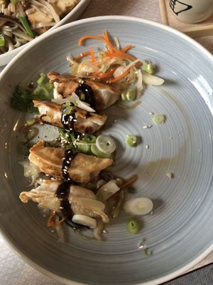 vegan gyoza  at Noodle Noodle in Stavanger