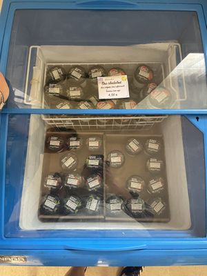 vegan ice cream  at Rica in Rijeka