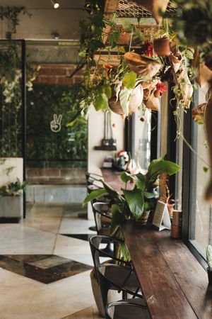 Vistro Interior at Vistro in Bangkok