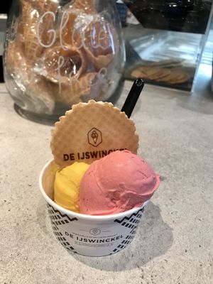 Vegan flavors mango and raspberry  at De IJswinckel in Vlissingen