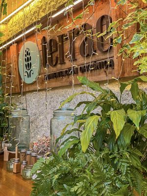   at Terrae Organica in Vigo