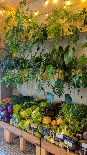   at Terrae Organica in Vigo