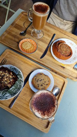  at Terrae Organica in Vigo