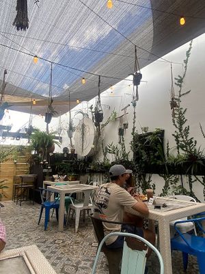 backyard at Oakland Coffee & Juice Bar in Oakland Park