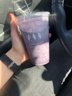 vegan protein smoothie at Oakland Coffee & Juice Bar in Oakland Park