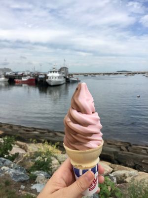 Vegan strawberry/chocolate twist at Ziggy's in Plymouth