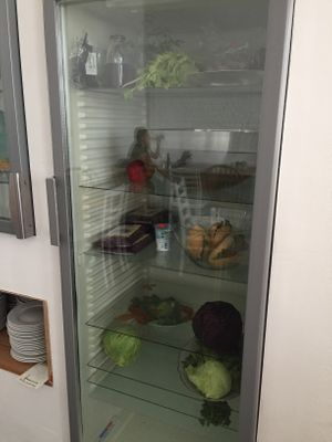 fridge with ‚free’ food -> donation  at Raupe Immersatt Cafe in Stuttgart