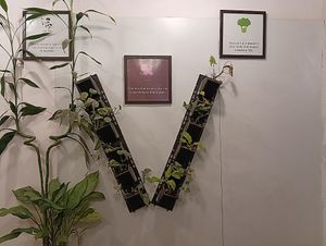  at The Vegan Kitchen in Ahmedabad