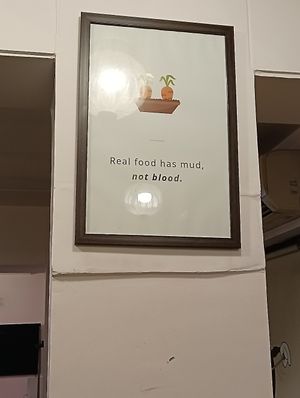  at The Vegan Kitchen in Ahmedabad