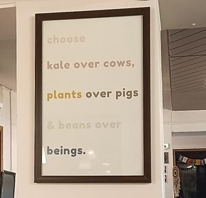  at The Vegan Kitchen in Ahmedabad