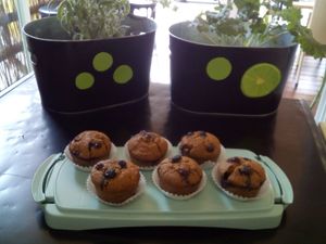 Vegan wholewheat blueberry muffins at Bar Can Lima in Ibiza