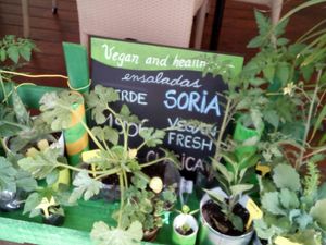 Mi mini eco-huerto at Bar Can Lima in Ibiza