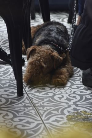  at Parlé Pantry in West London