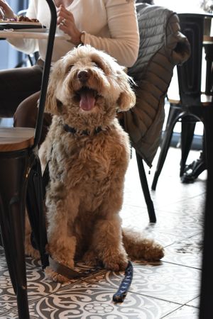  at Parlé Pantry in West London